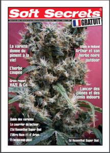 Soft Secrets French 07-01