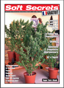 Soft Secrets French 07-05