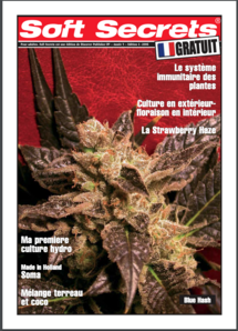 Soft Secrets French 06-04