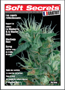 Soft Secrets French 06-06