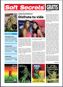 Soft Secrets Spanish 11-04