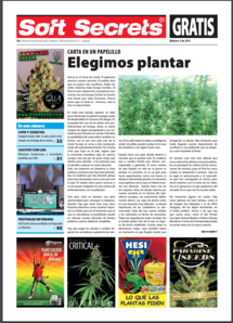 Soft Secrets Spanish 11-05