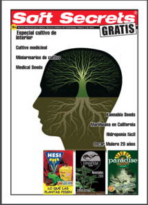 Soft Secrets Spanish 10-01