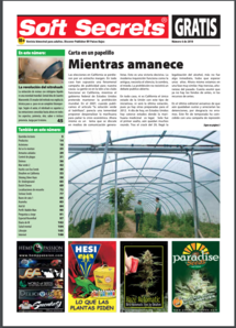 Soft Secrets Spanish 10-06