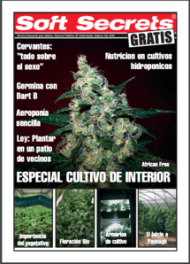 Soft Secrets Spanish 06-01