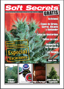 Soft Secrets Spanish 06-04