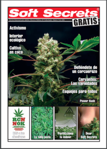 Soft Secrets Spanish 06-05