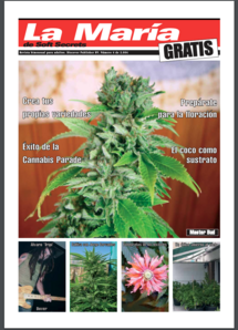 Soft Secrets Spanish 04-04