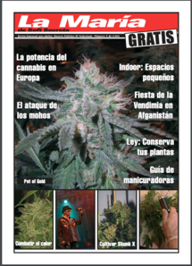 Soft Secrets Spanish 04-05