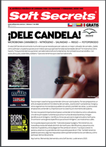 Soft Secrets LATAM 20-01