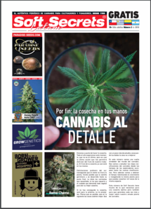 Soft Secrets LATAM 18-02