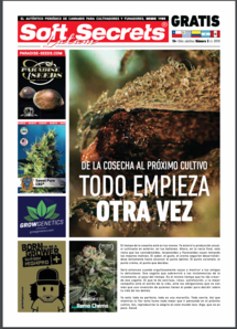 Soft Secrets LATAM 18-03