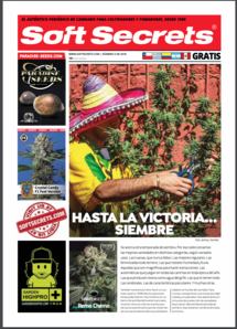 Soft Secrets LATAM 18-05
