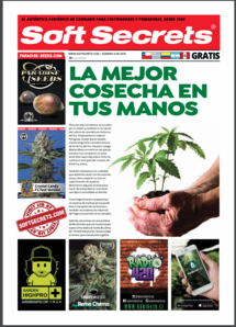 Soft Secrets LATAM 18-06