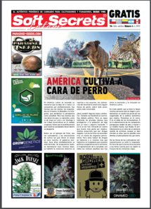 Soft Secrets LATAM 17-04