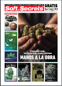 Soft Secrets LATAM 17-06