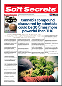 Soft Secrets UK 20-02