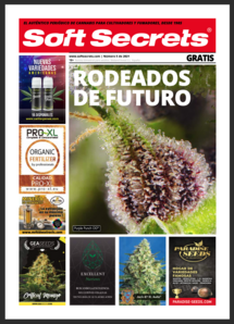 Soft Secrets Spanish 21-05