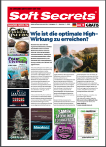 Soft Secrets German 20-01