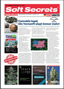 Soft Secrets German 19-01