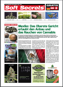 Soft Secrets German 16-01