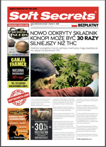 Soft Secrets Polish 20-02