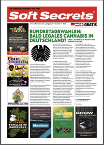 Soft Secrets German 21-06