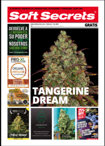 Soft Secrets Spanish 22-01