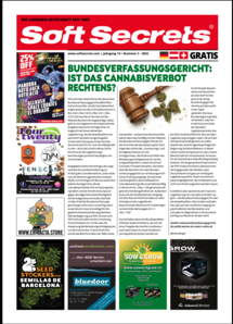 Soft Secrets German 22-02