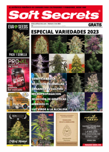 Soft Secrets Spanish 23-02