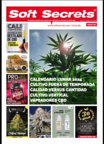 Soft Secrets Spain 24-01