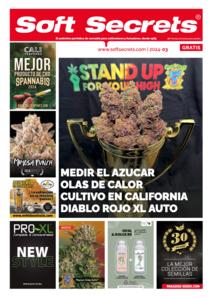 Soft Secrets Spanish 24-03