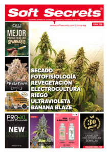 Soft Secrets Spanish 24-04