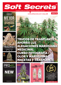 Soft Secrets Spanish 24-06