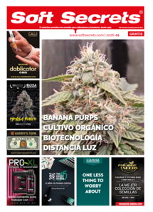 Soft Secrets Spanish 26-01