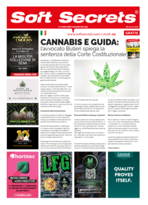 Soft Secrets IT 26-02