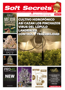 Soft Secrets Spain 25-01
