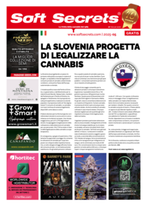 Soft Secrets Italy 25-05