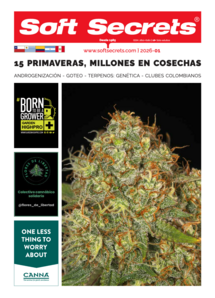 Soft Secrets LATAM 26-01