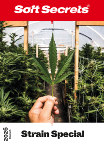 Strain Special 2026 German