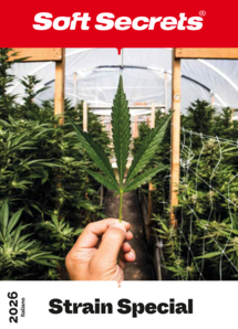 Strain Special 2026 French