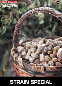 Strain Special 2016 German