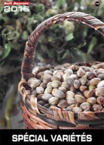 Strain Special 2016 French