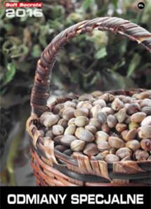 Strain Special 2016 Polish