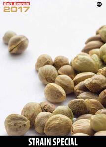 Strain Special 2017 German