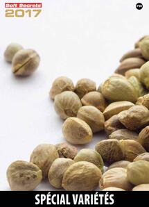 Strain Special 2017 French