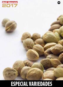 Strain Special 2017 Spanish