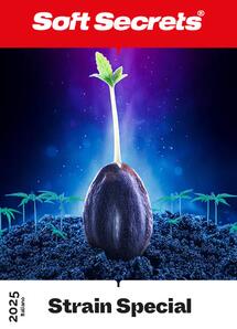 Strain Special 2025 Italian