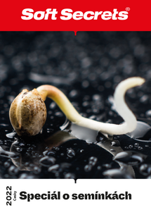 Speciál o seminkách 2022