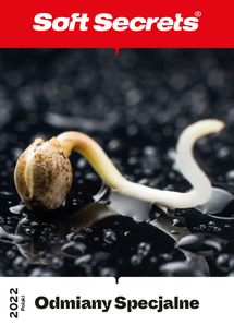  Odmiany Specjalne 2022